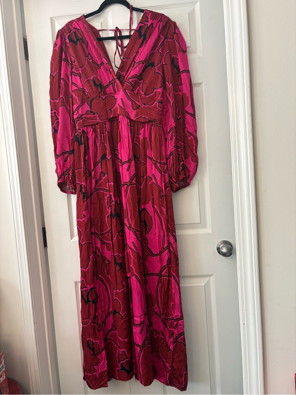 Alex Marie Pink and Red Floral V-Neck Maxi Dress